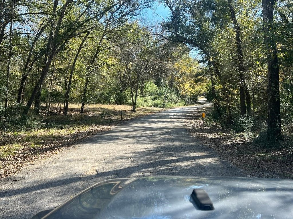 Picture 25