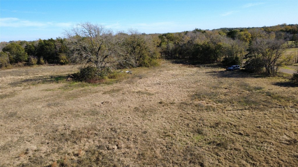 Picture 21