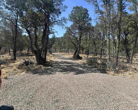 LAND - Timberon, NM