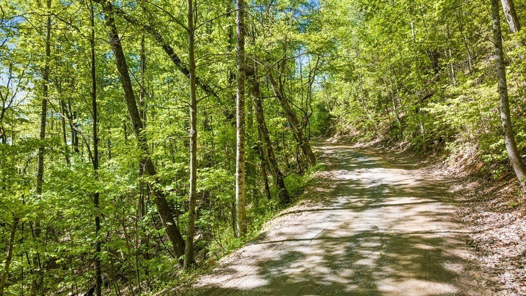 Picture 3