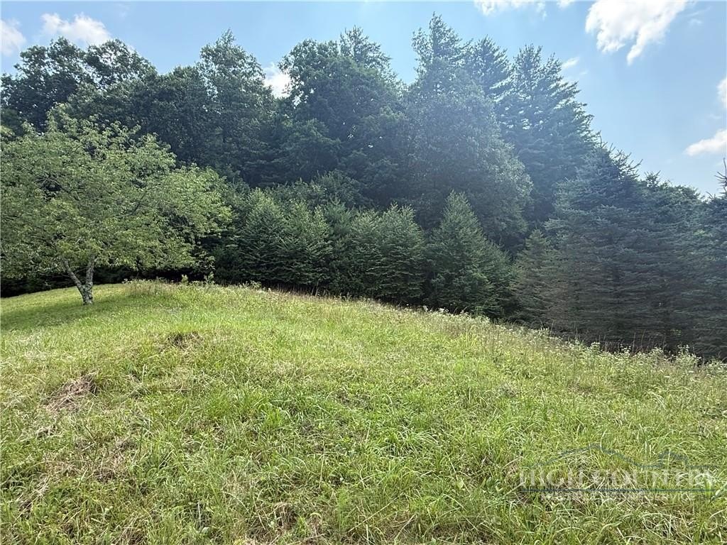 Picture 10