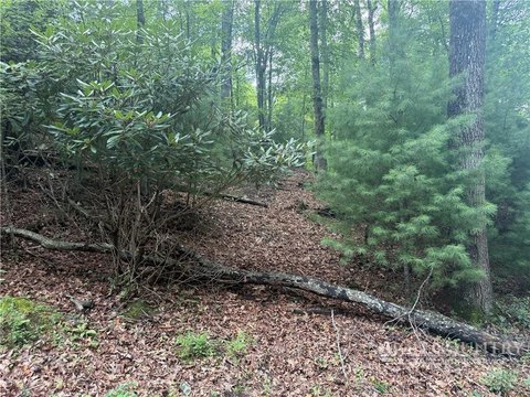 LAND - West Jefferson, NC