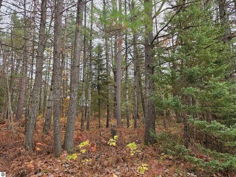 Grayling Vacant Land Near Lake