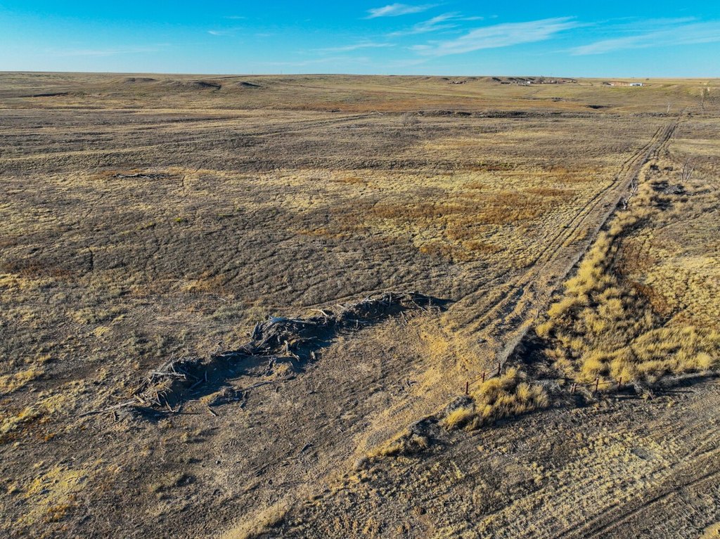 Picture 36