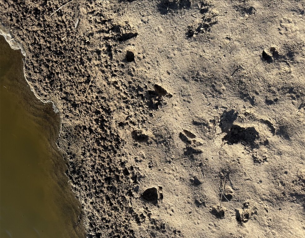 Picture 10