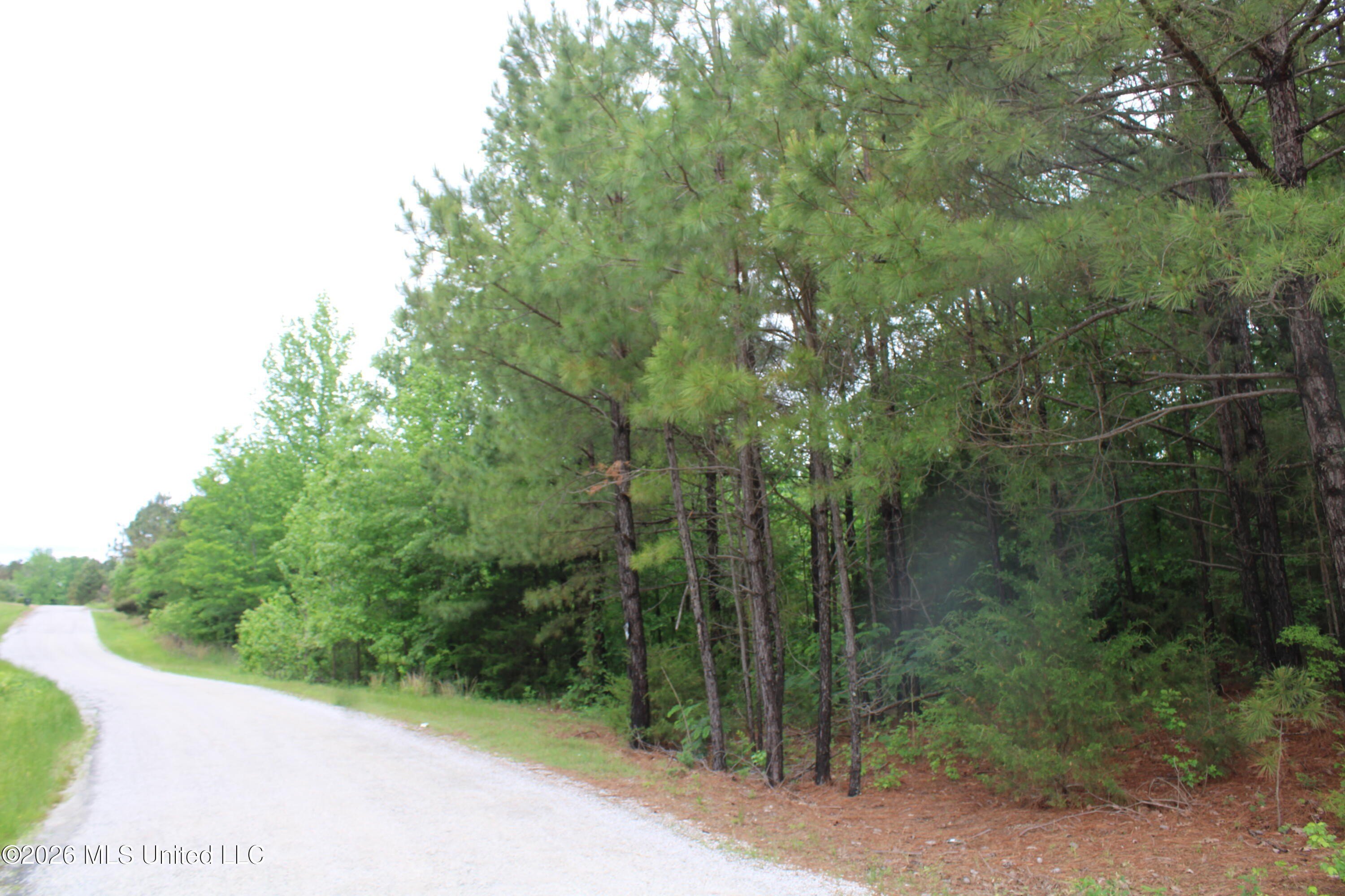 Undeveloped Land Near Byhalia, MS