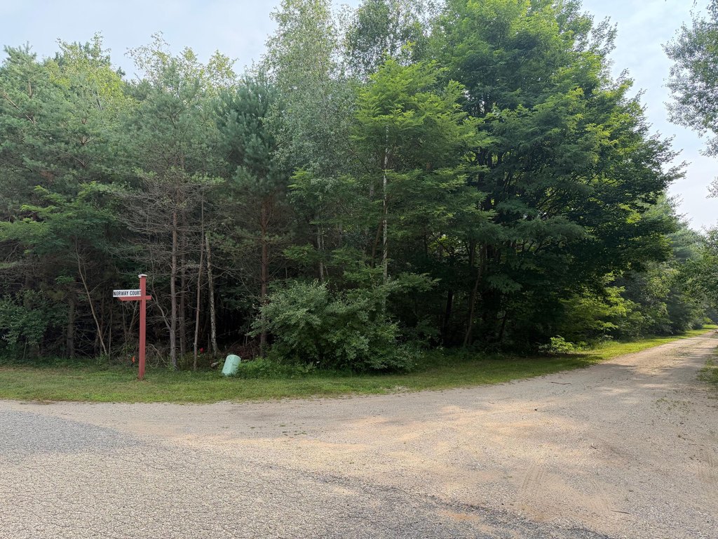 Picture 5