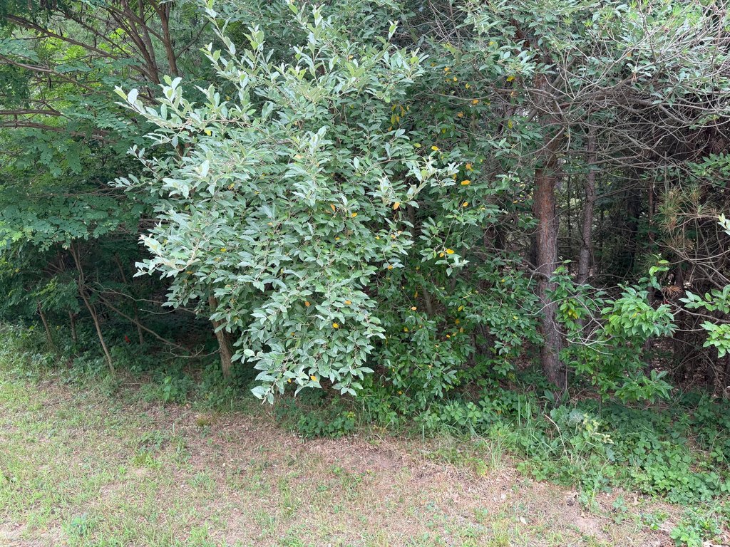 Picture 9