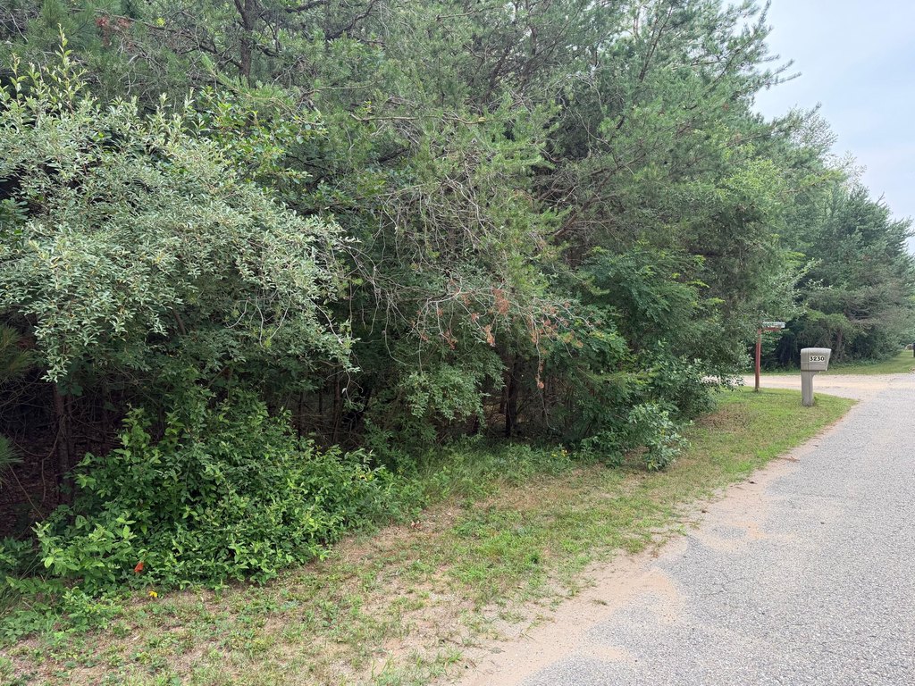 Picture 11