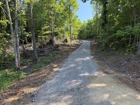 LAND - Sunbright, TN