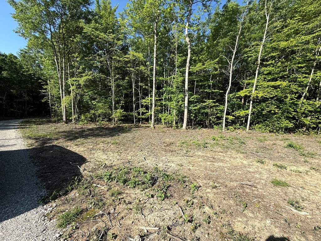 Picture 10
