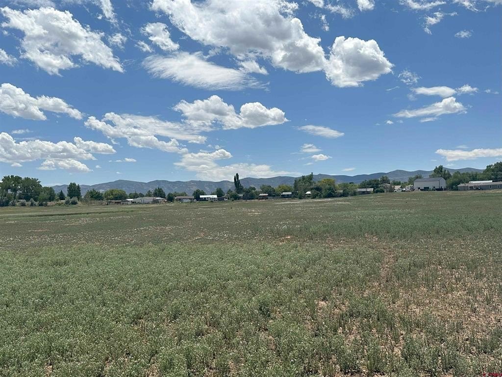 Picture 10