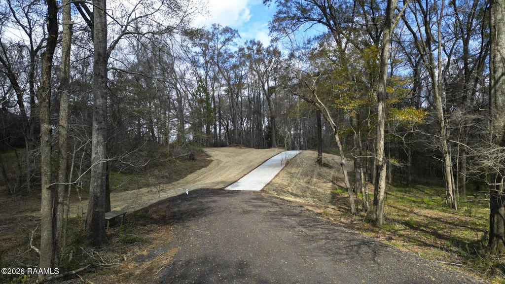 Picture 14