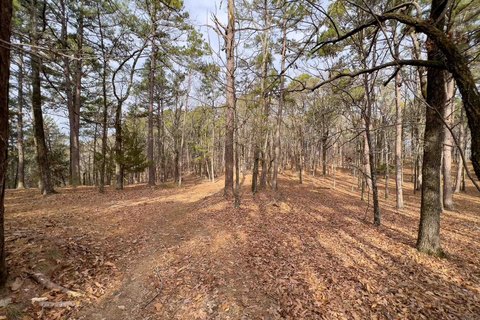 Undeveloped Land with Mountain Views