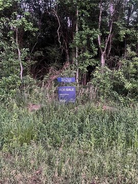 Land, Abita Springs, LA