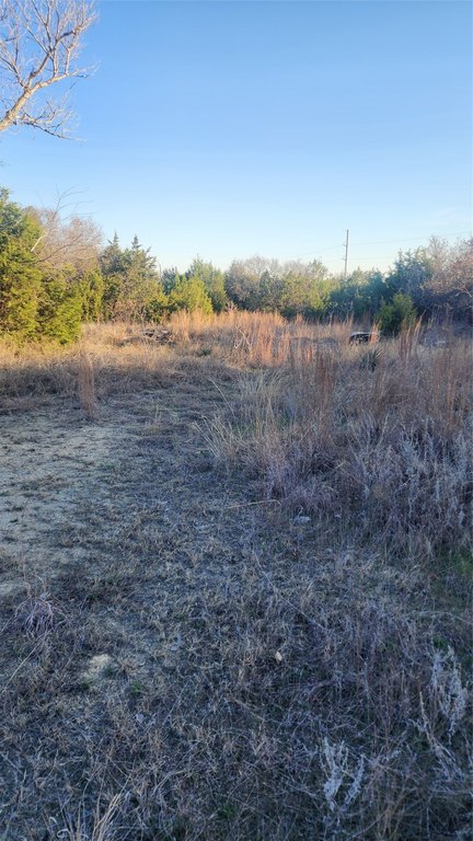 Picture 15