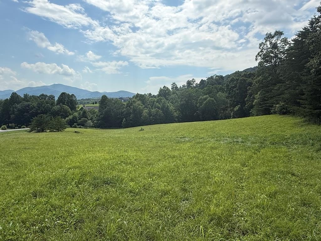 Young Harris Vacant Lot