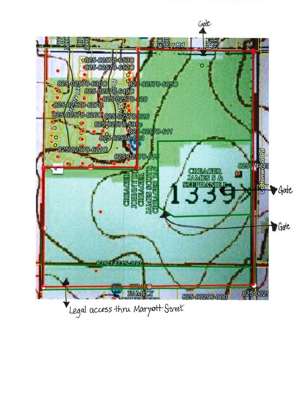 Picture 9