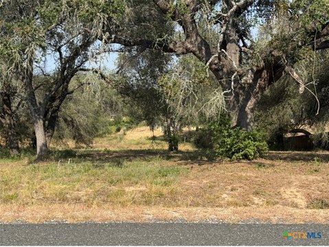 Land, Elmendorf, TX