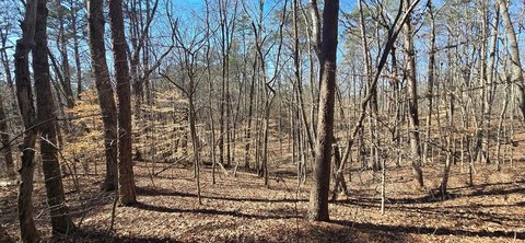 LAND - Talking Rock, GA