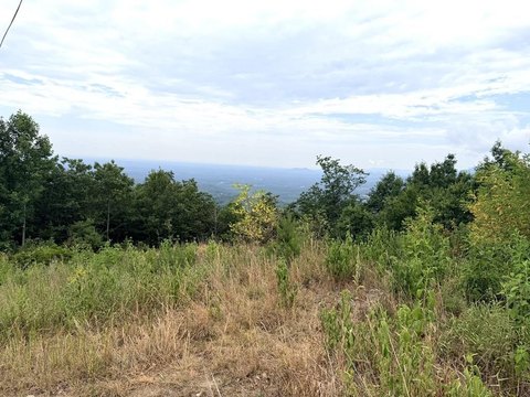 LAND - Fancy Gap, VA