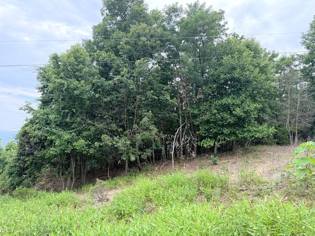 Picture 9