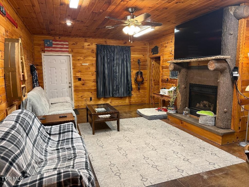 Picture 6