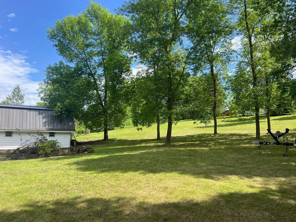 Picture 17