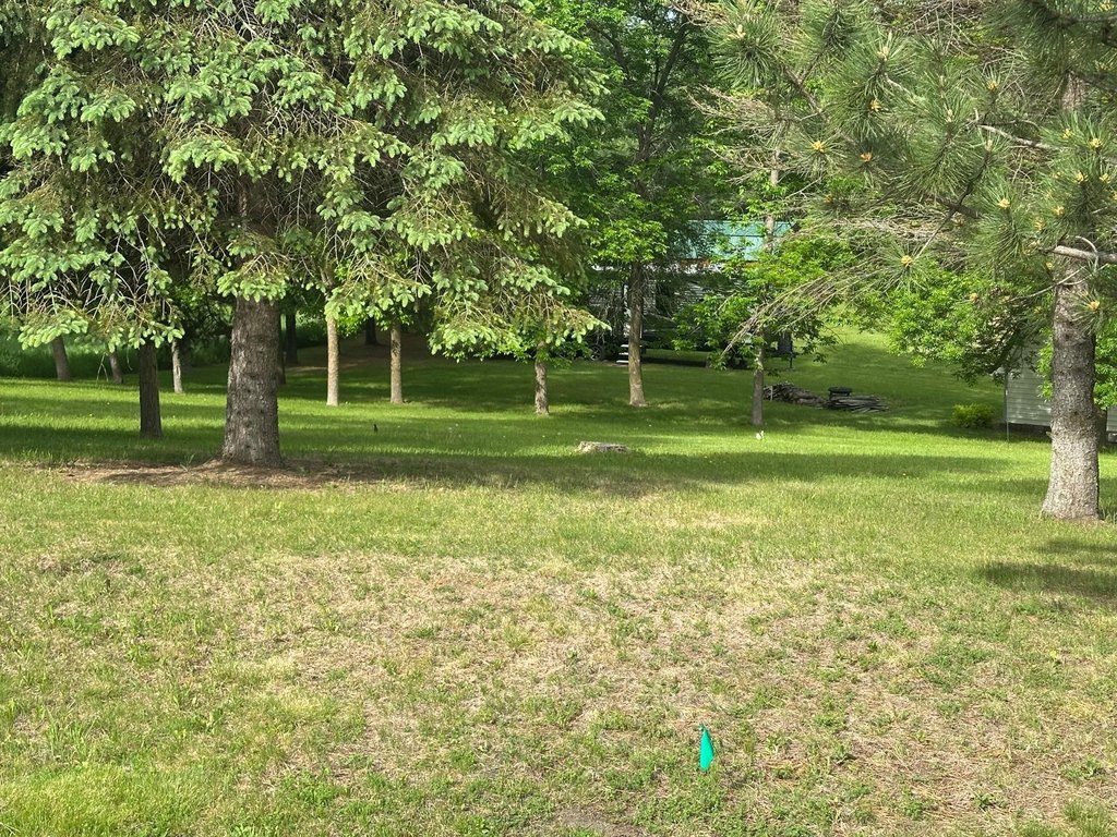 Picture 18