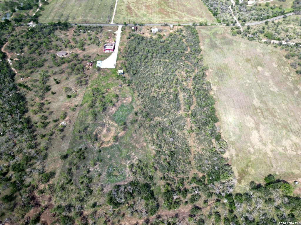 Picture 10