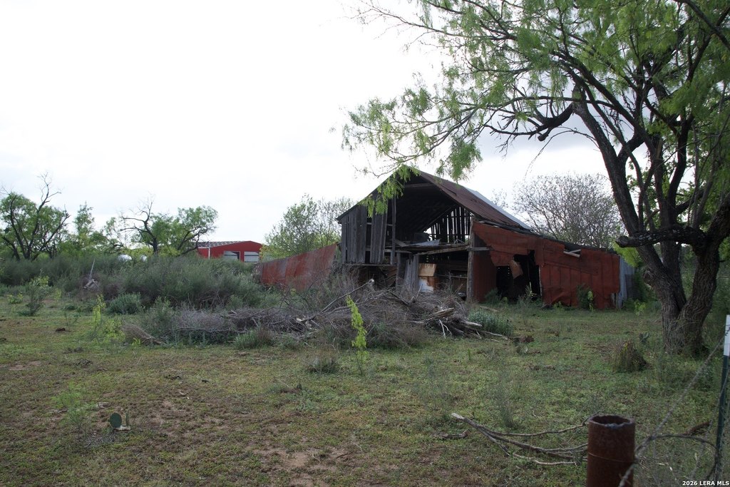 Picture 21