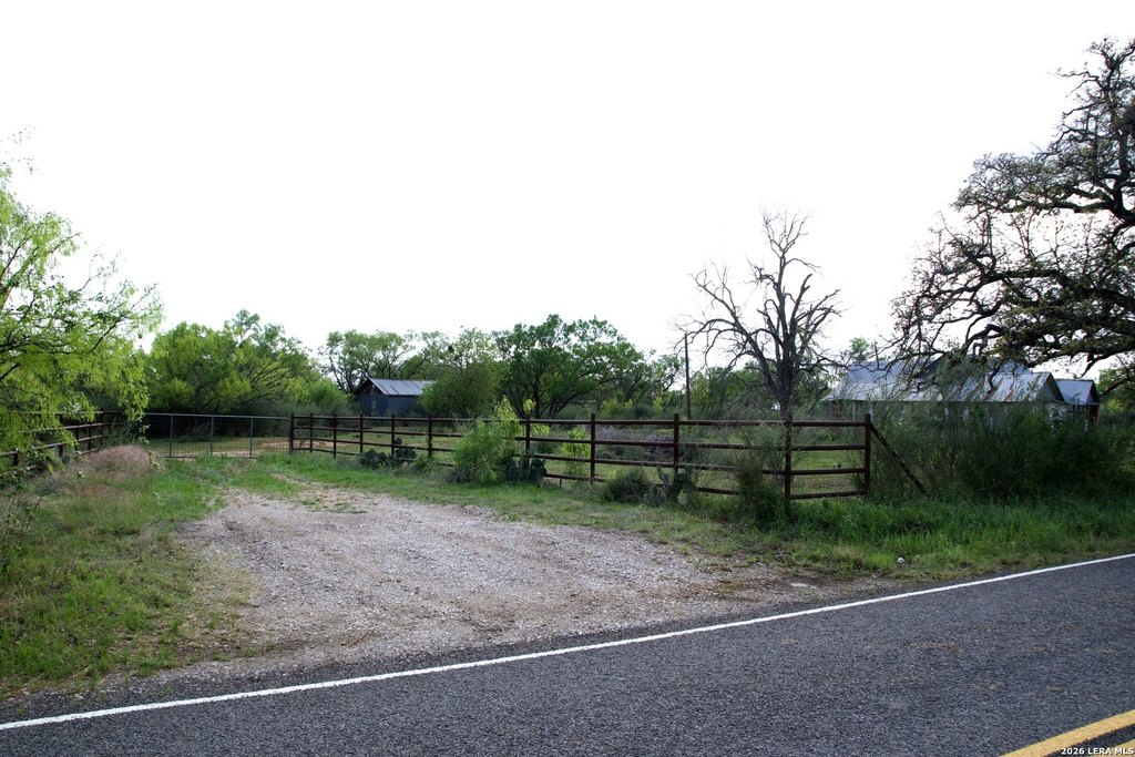 Picture 16