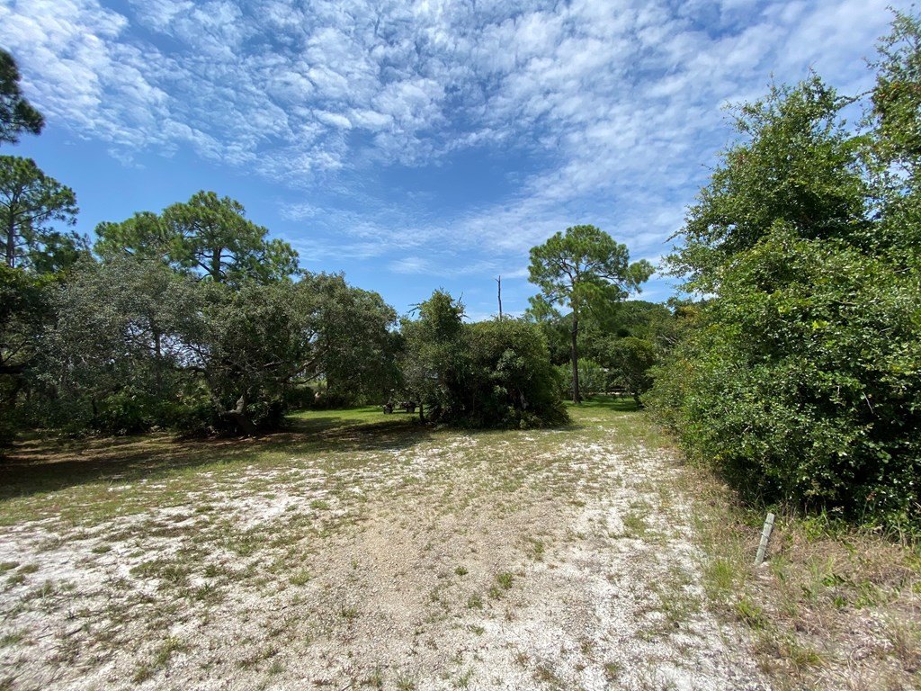 Picture 20