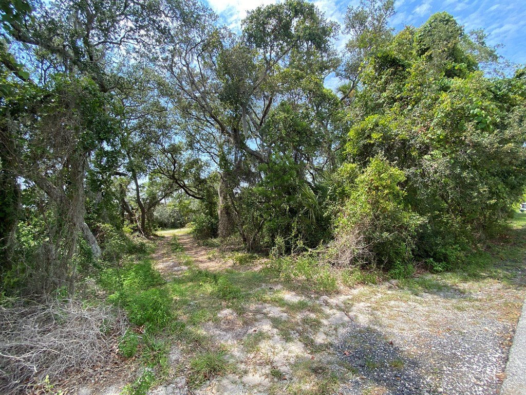 Picture 26