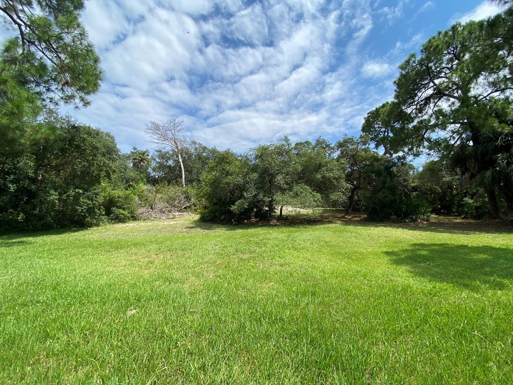 Picture 23