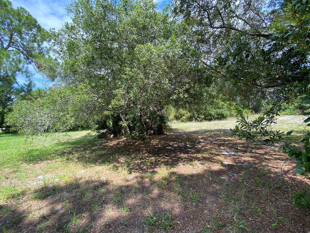 Picture 18