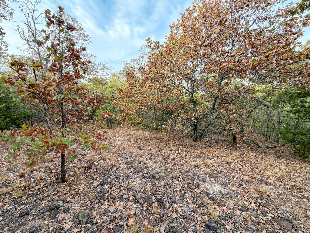 Picture 26
