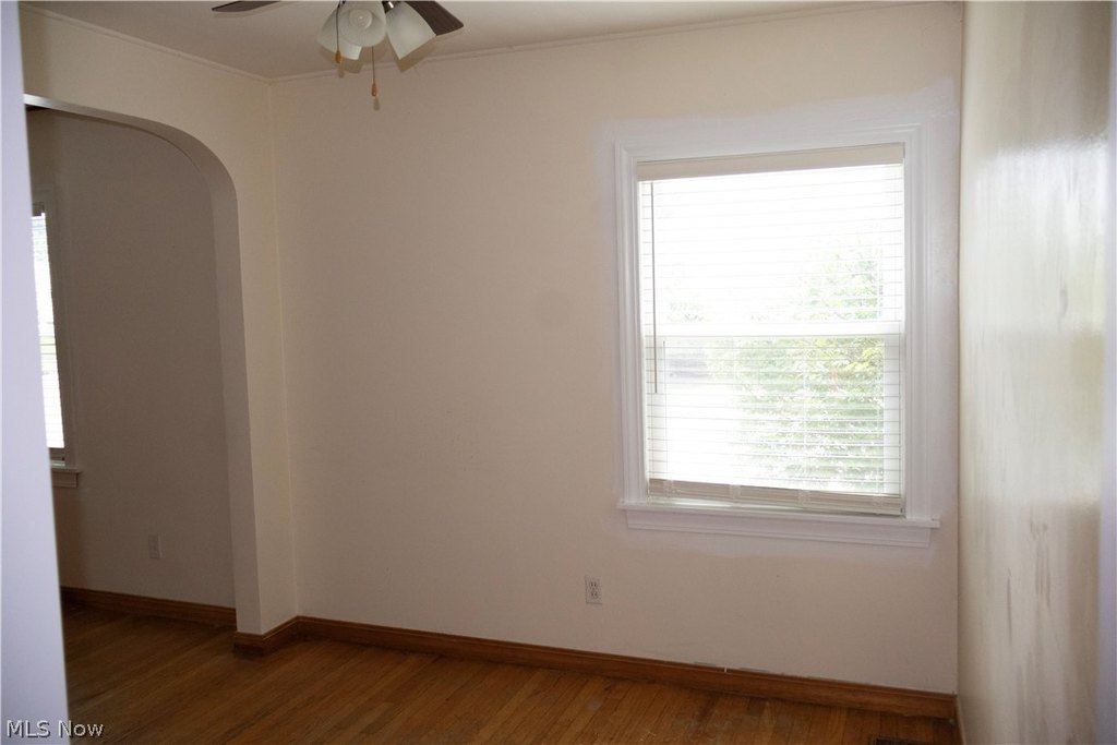 Picture 14