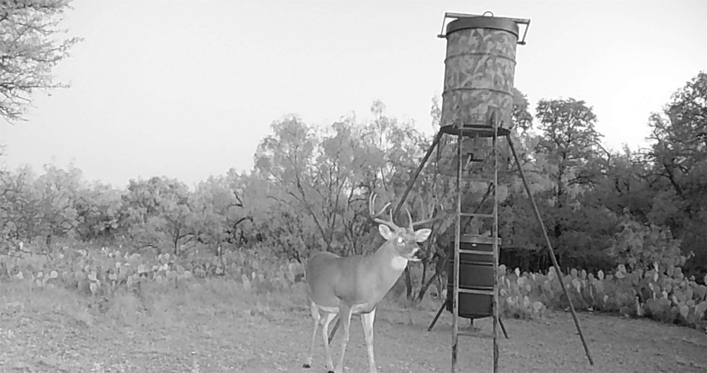 Picture 28