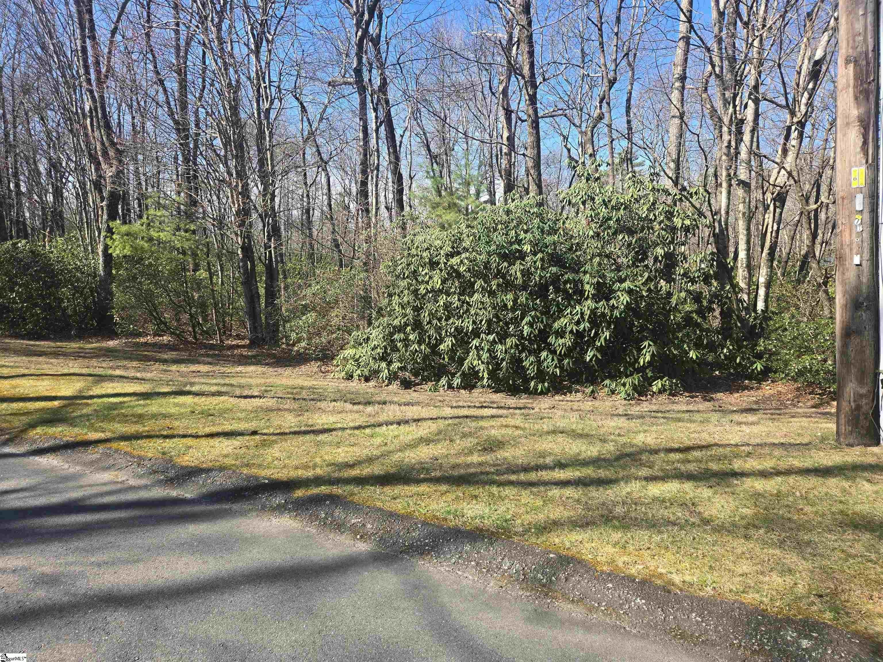 Wooded Lot in Gated Community