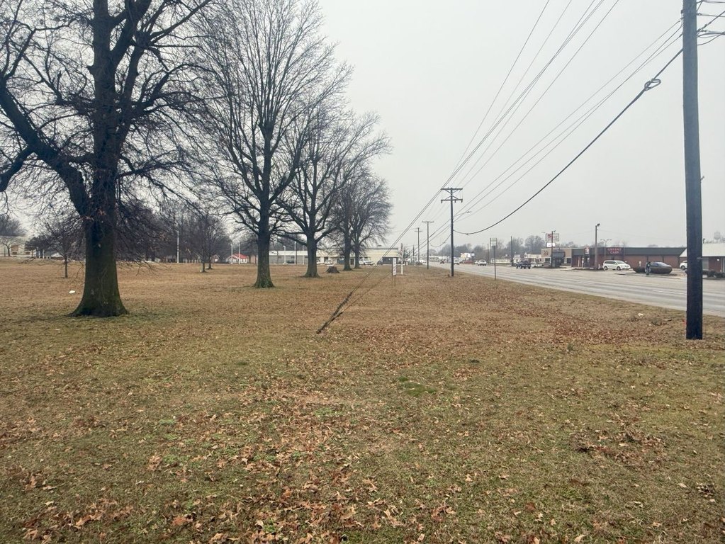Picture 3