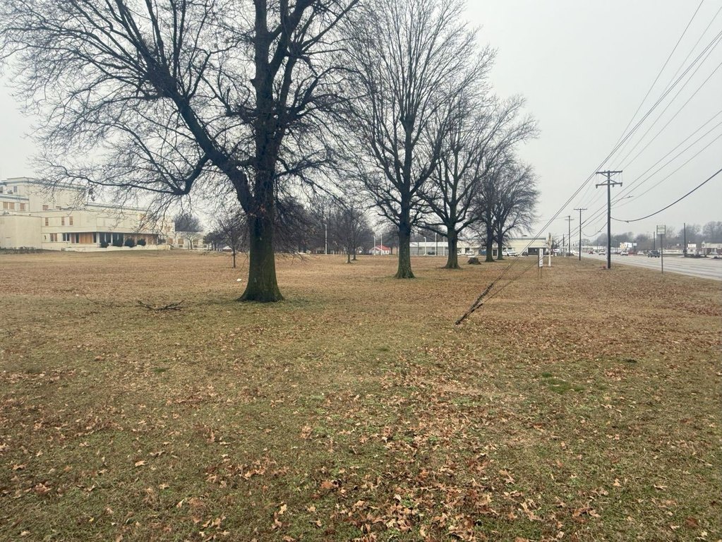Picture 4
