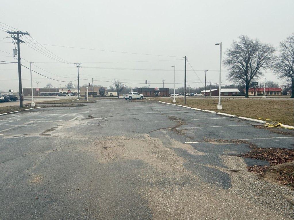Picture 8