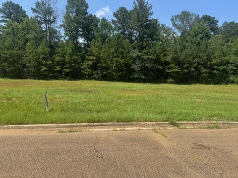 Commercial Land Near I-55
