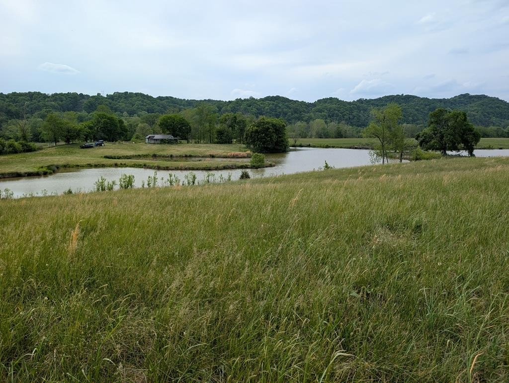 Burkesville, KY Building Lot