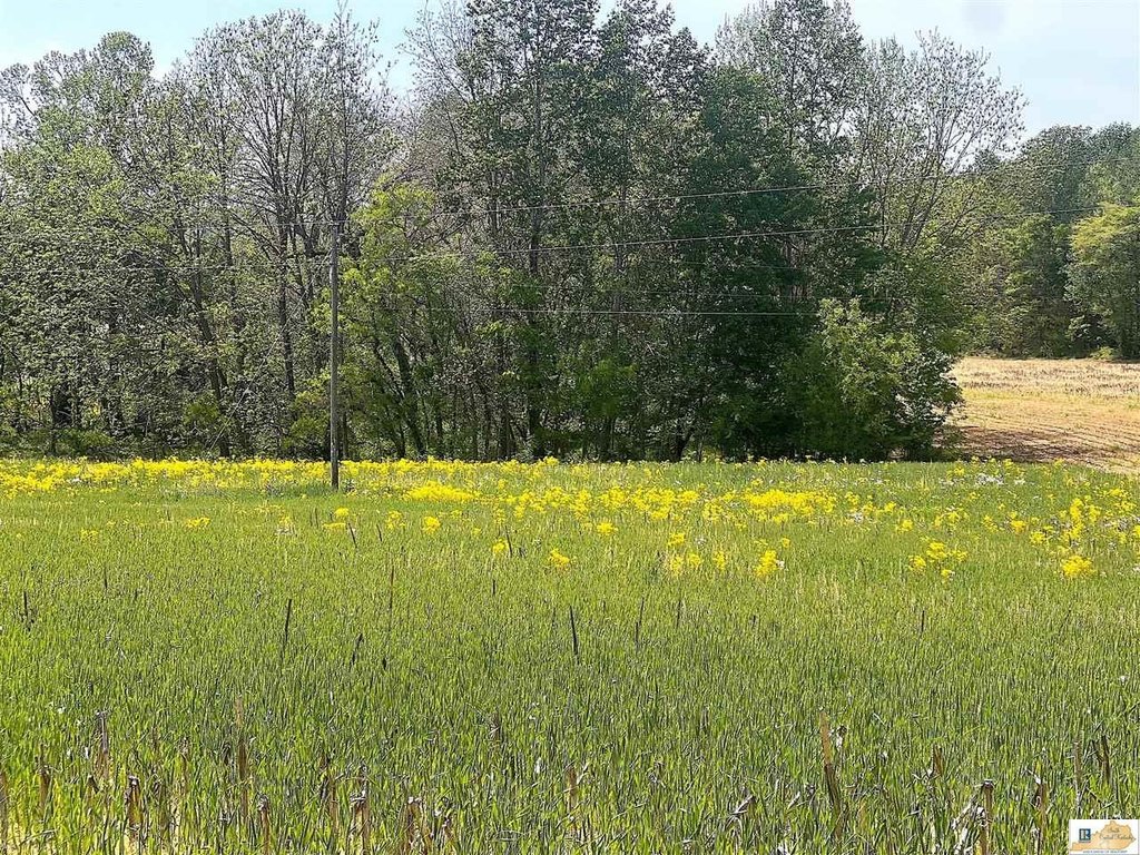 Picture 15