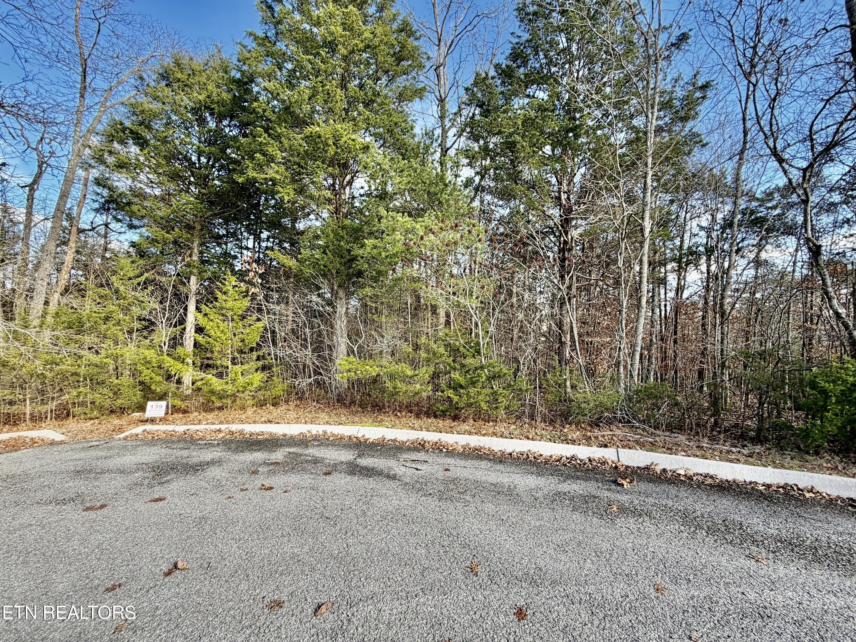 Land Near Norris Lake