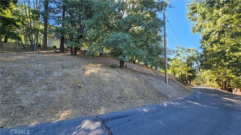 Expansive Lot in Smiley Park