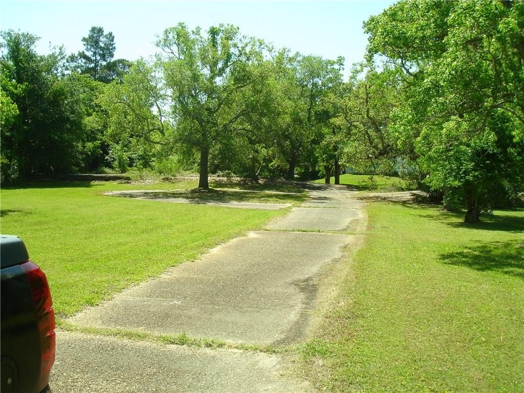 Picture 13