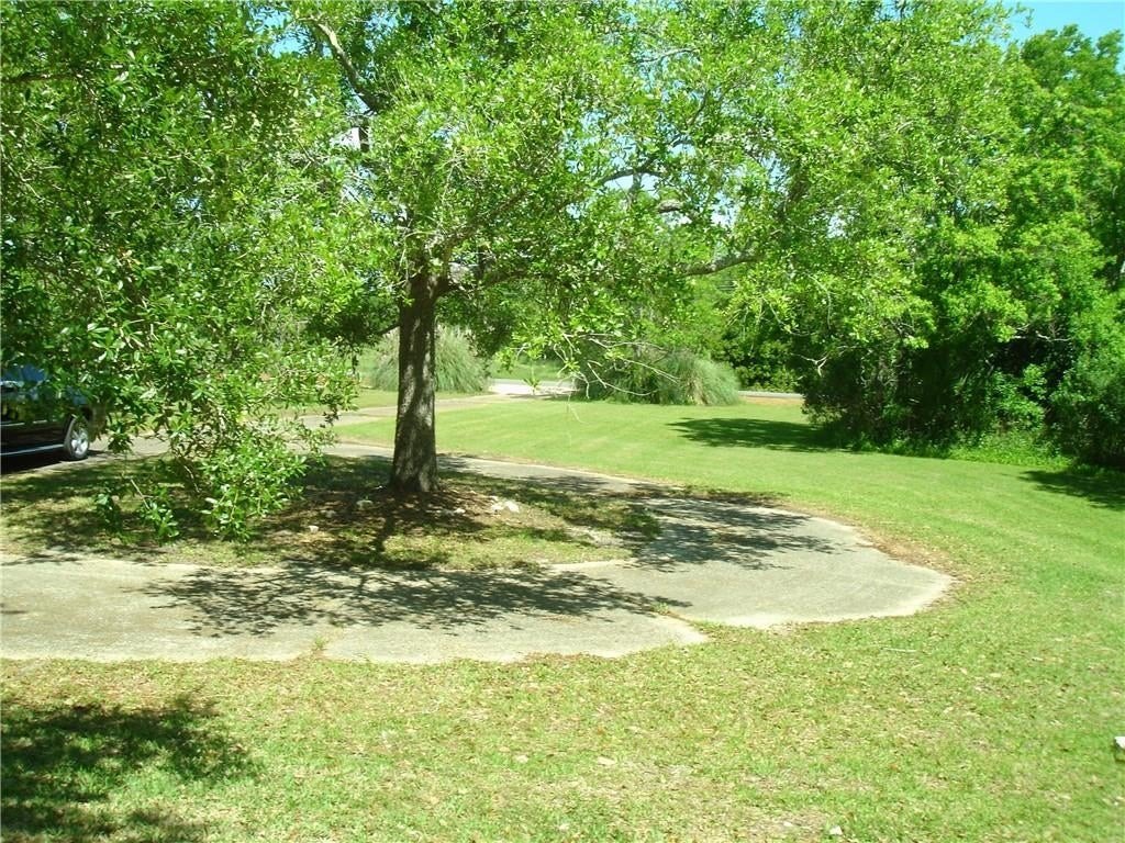 Picture 10